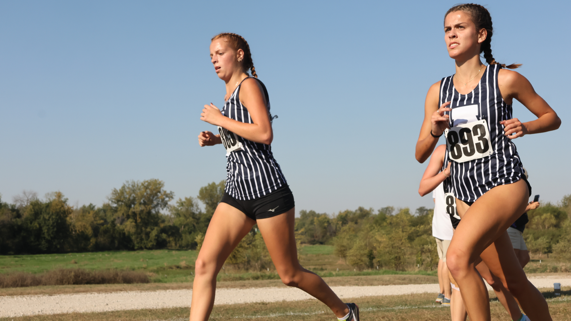 Cross Country Bees crush Seminole Valley Stampede